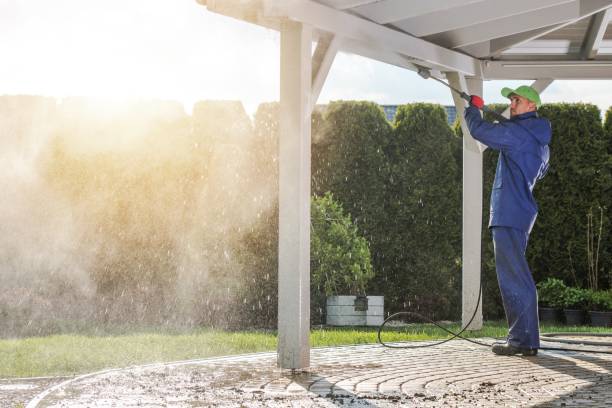 Best Boat and Dock Cleaning  in Graysville, TN